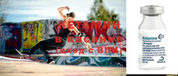 стаф Шадринск