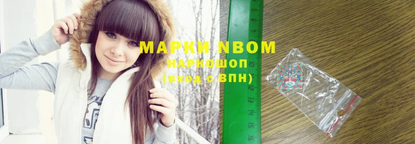 стаф Шадринск