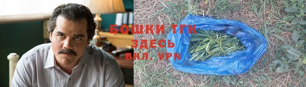 стаф Шадринск