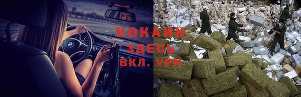 стаф Шадринск